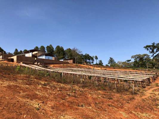 OUR COFFEE- Ethiopia